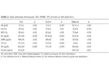 Normal Ferritin Değeri Kaçtır? Normal Ferritin Değeri Kaçtır?